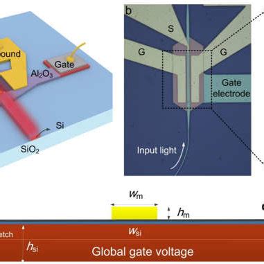 The Present Silicon Graphene Hybrid Plasmonic Waveguide Photodetector