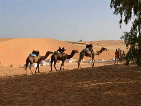 Explore the Treasures of Senegal with Our Excursions - Sogui Tours Senegal