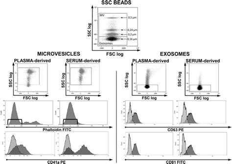 Cytofluorimetric Analysis Of Microvesicles And Exosomes Obtained From