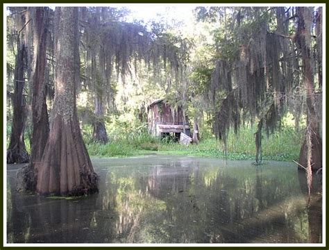 Louisiana Scenery Wallpaper - WallpaperSafari