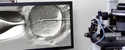 Same Sex Relations Marriage Still Supported By Most In U S