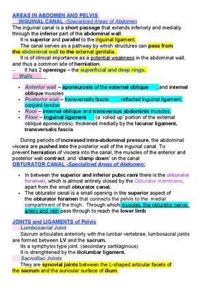 Aspirasyon Riski Summary Human Anatomy And Physiology Asp Rasyon