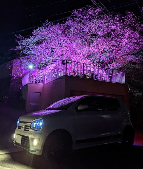 アルトワークスの桜と愛車・夜桜・ドライブに関するカスタム事例｜車のカスタム情報はcartune