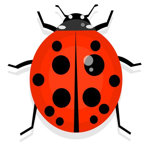 Cute Ladybug Insect 21444549 Png