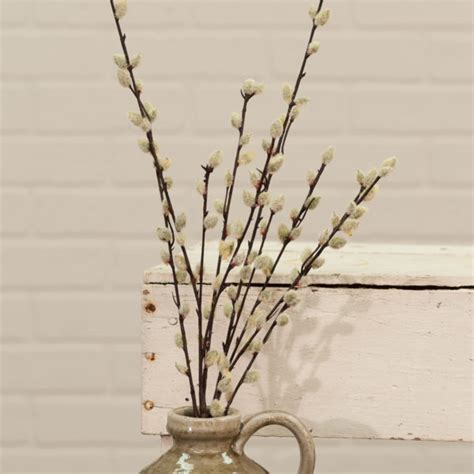 Grey Pussy Willow Stem Piper Classics