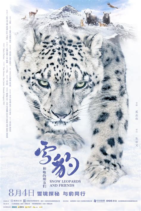 Snow Leopards and Friends海报 3: 高清原图海报 | 金海报-GoldPoster