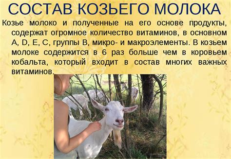 Смеси на козьем молоке. Список, рейтинг лучших без пальмового масла ...