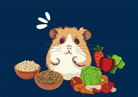 Ultimate Beginners Guide To Hamster Food