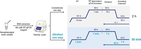 Real Time Pcr Master Mix Recipe | Bryont Blog