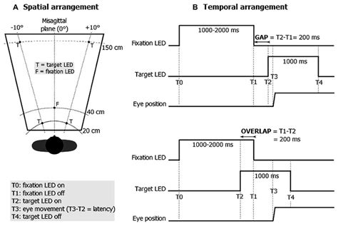 Illustration of the spatial (A) and temporal (B) arrangement of the ...