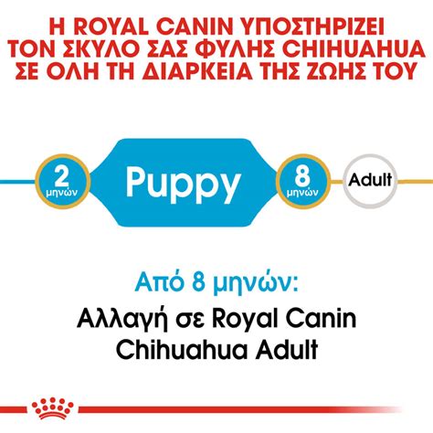 Royal Canin - Chihuahua Puppy 500gr | Petaction