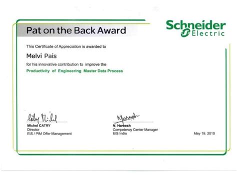 Scheider Electric Pat On The Back Award