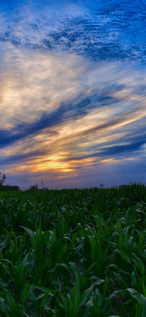 Farm Sunset Wallpapers Wallpaper Cave
