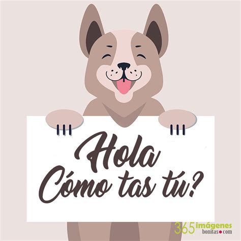ImÁgenes De Hola Y Mensajes Para Compartir En Mayo