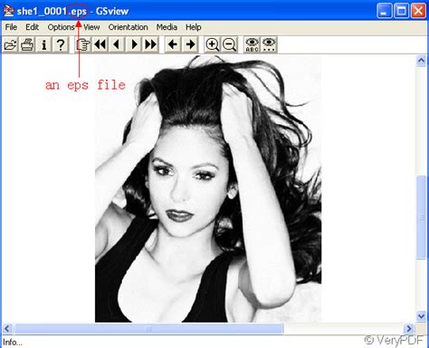 How To Print An Eps File To Pdf File Verypdf Knowledge Base