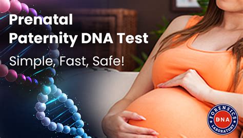 Prenatal Paternity Dna Test While Pregnant A Non Invasive Flickr