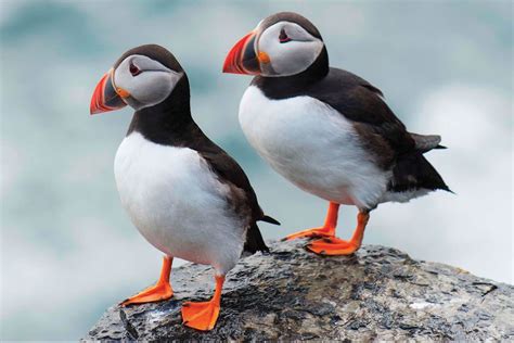 isles  scilly fact magazine