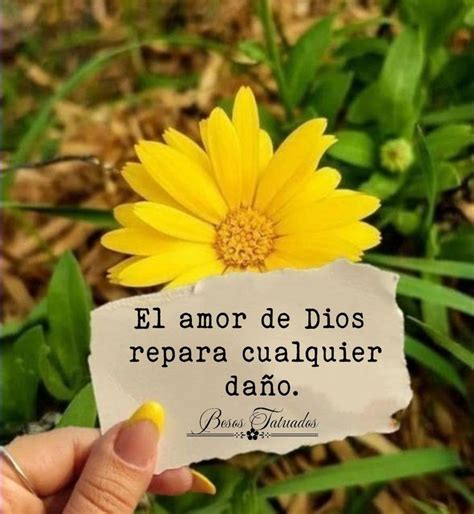 Pin De Confía En Dios En Besos Agradecida Con Dios Frases Frases De Bendiciones Frases