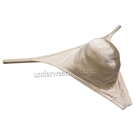 Sexy Men S Shiny Ice Silk String Thong Underwear Soft Bulge Pouch T Back Bikini Tangas Un M L