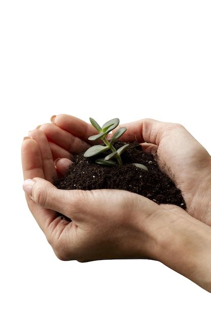 Free Psd View Of Sustainable Hands With Nature