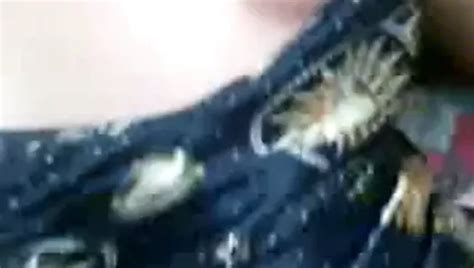 Free Deaf Porn Videos Xhamster