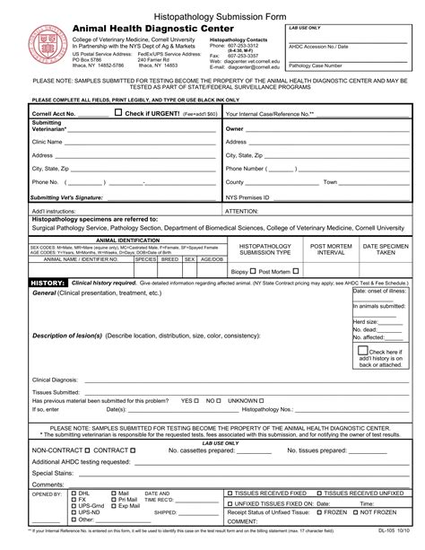 Form Dl 105 Fill Out Printable PDF Forms Online