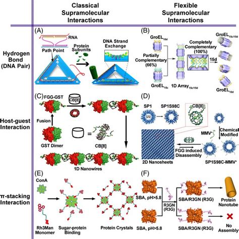 Protein Nanostructures Based On Supramolecular Interactions With The