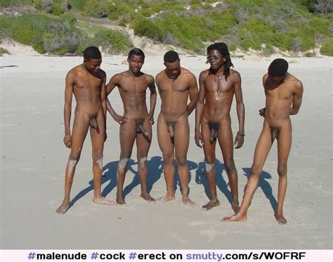 Erect Penis Nude Beach Cock Cumception