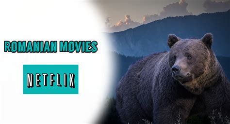 20 Best Romanian Movies on Netflix (2023) | Netflix Romanian Movies