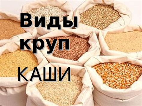 Презентация "Виды круп"