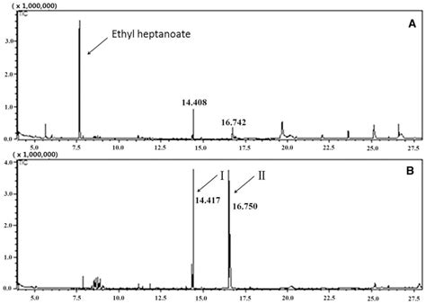 Reidentification Of Sex Pheromones Of Tea Geometrid Ectropis Obliqua Prout Lepidoptera