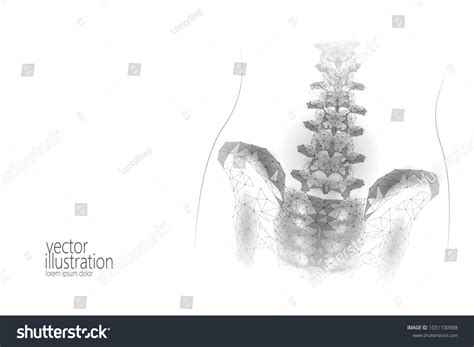 Human Spine Hip Lumbar Radiculitis Pain Low Poly Royalty Free Stock