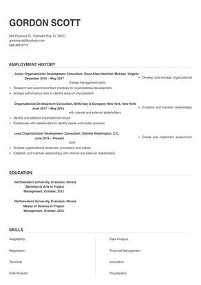 Organizational Development Consultant Resume Sample Tips Online