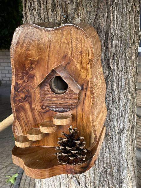 Ben Bird Houses Ideas Diy Homemade Bird Houses Wooden Bird Houses