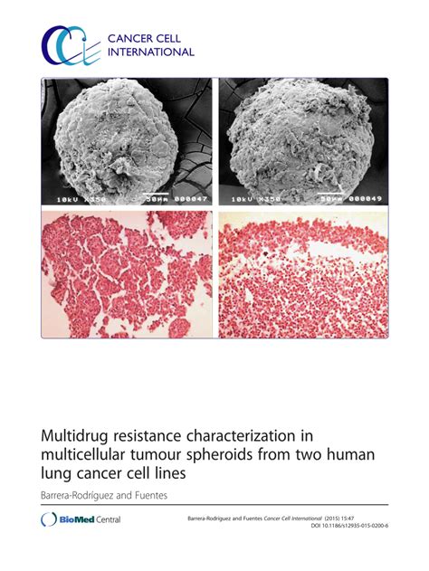 Pdf Multidrug Resistance Characterization In Multicellular Tumour