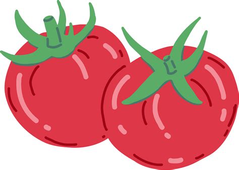 Doodle Freehand Sketch Drawing Of Tomato Vegetable Png