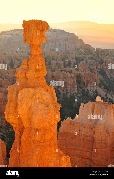 Rock Formation Thor S Hammer Sunrise Sunset Point Bryce Canyon