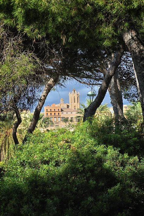 Tarragona A Traves De Los Arboles Antonio Aranda Vela Flickr