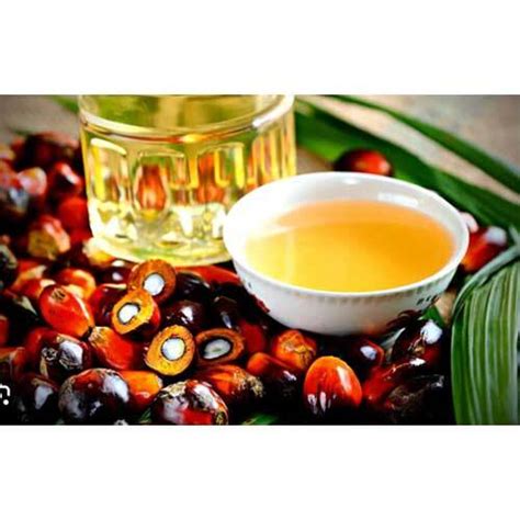 Palm Oil At Best Price In India Palm Oil Supplier Exporter