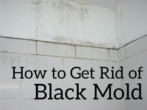 5 Easy Steps To Eradicate Black Mold In Your Bathroom HOMYSTYLE