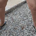 Peeing On Some Dicks At The Nude Beach With Spectators R Goldenshower