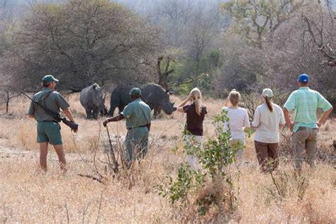 Best Places To See Rhino In Africa Aardvark Safaris