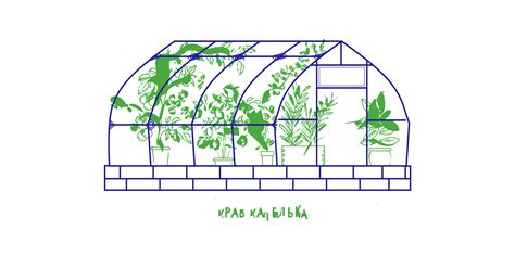 Теплица из поликарбоната Краб Капелька в Минске и Беларуси