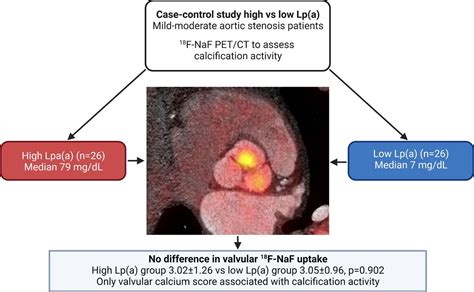 Heartbeat Sex Disparities In Stroke Heart Failure And All Cause Mortality In Adults With