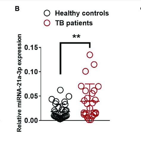 MiR 21 3p Expression Deregulated By Bacterial Components Is Induced