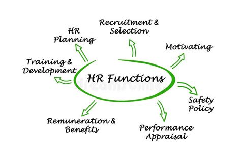 hr functions stock illustration illustration  development