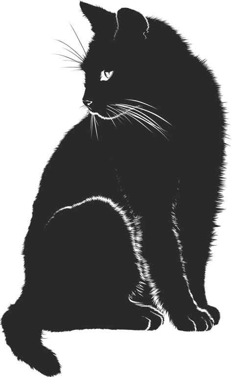 Cat, Shadow, Silhouette, Black, Animal | Black cat art, Cat shadow, Cat ...