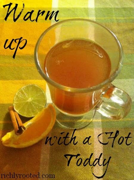 Hot Toddy Recipe Without Tea Deporecipe Co