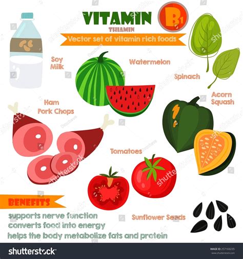 Vitamins Minerals Foods Illustrator Set 6vector Vector De Stock Libre