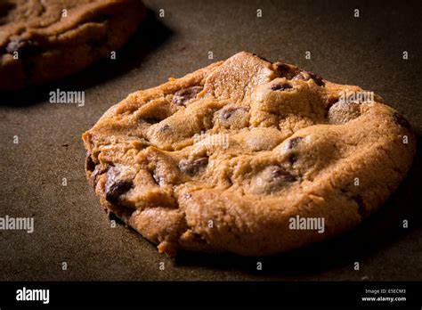 Chocolate Chip Cookie Stock Photo Alamy